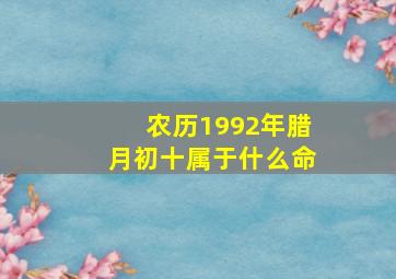 农历1992年腊月初十属于什么命