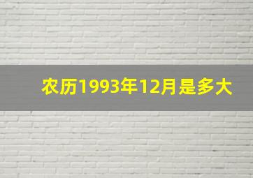 农历1993年12月是多大