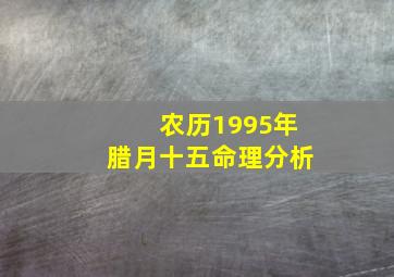 农历1995年腊月十五命理分析