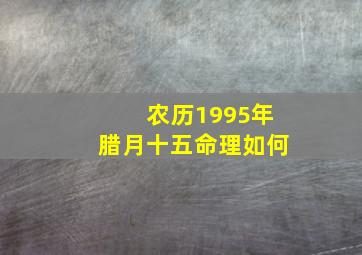 农历1995年腊月十五命理如何