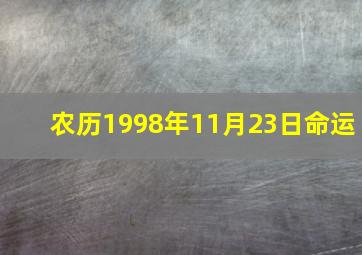 农历1998年11月23日命运