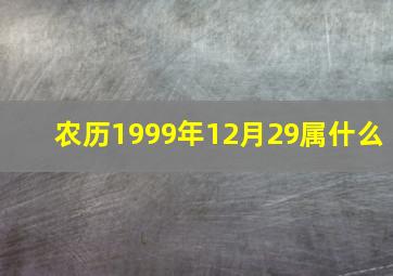 农历1999年12月29属什么