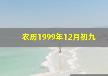 农历1999年12月初九