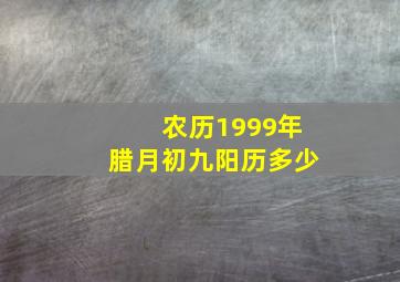 农历1999年腊月初九阳历多少