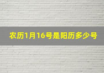 农历1月16号是阳历多少号