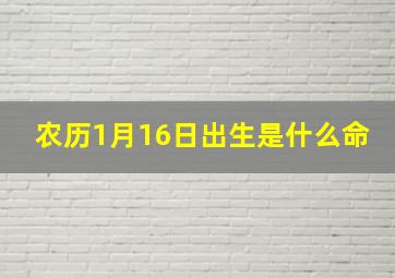 农历1月16日出生是什么命