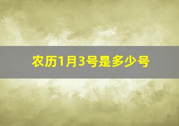 农历1月3号是多少号