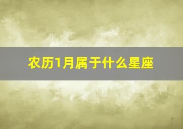 农历1月属于什么星座