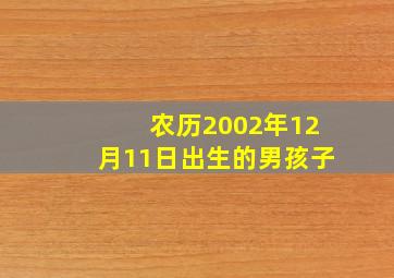 农历2002年12月11日出生的男孩子