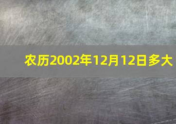 农历2002年12月12日多大