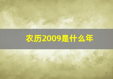 农历2009是什么年