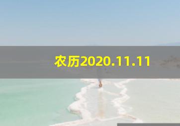 农历2020.11.11