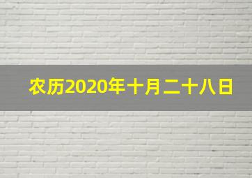 农历2020年十月二十八日