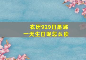 农历929日是哪一天生日呢怎么读