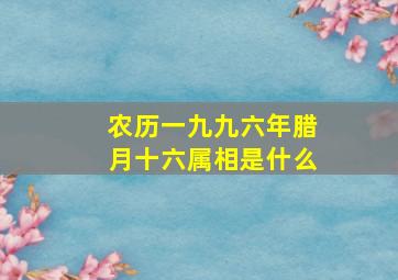 农历一九九六年腊月十六属相是什么