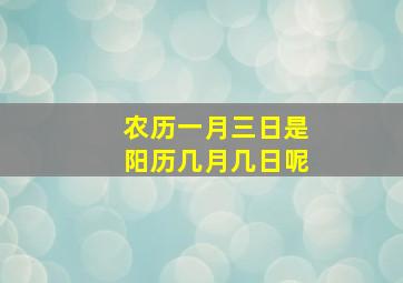 农历一月三日是阳历几月几日呢