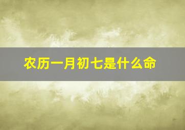 农历一月初七是什么命