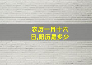 农历一月十六日,阳历是多少