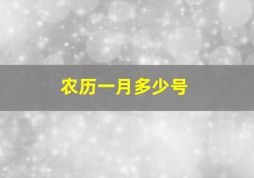 农历一月多少号