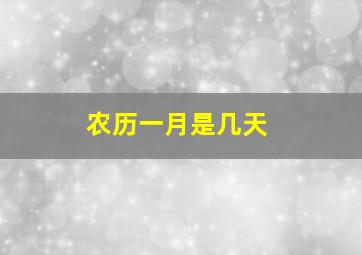 农历一月是几天