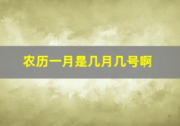 农历一月是几月几号啊