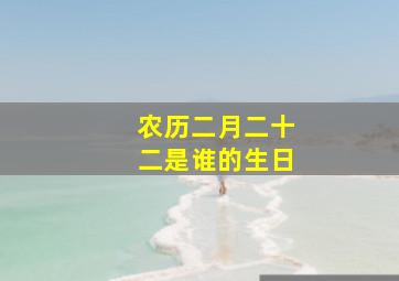 农历二月二十二是谁的生日