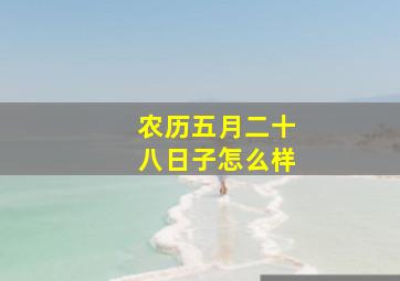 农历五月二十八日子怎么样