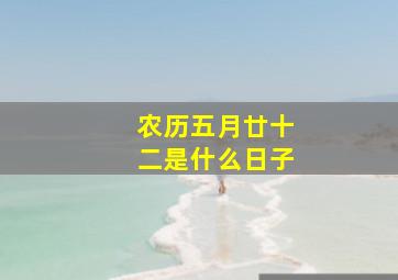 农历五月廿十二是什么日子