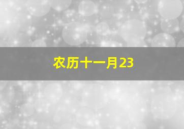 农历十一月23