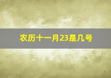 农历十一月23是几号