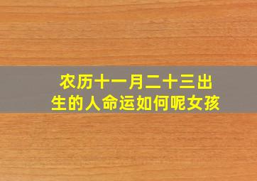 农历十一月二十三出生的人命运如何呢女孩