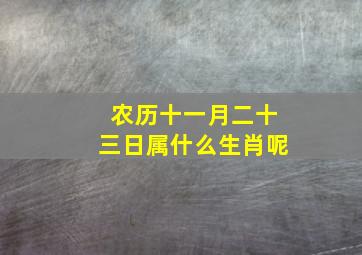 农历十一月二十三日属什么生肖呢