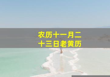 农历十一月二十三日老黄历