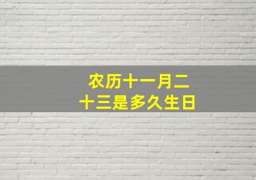 农历十一月二十三是多久生日