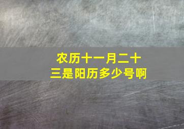 农历十一月二十三是阳历多少号啊