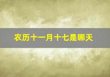 农历十一月十七是哪天