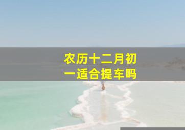 农历十二月初一适合提车吗