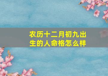 农历十二月初九出生的人命格怎么样