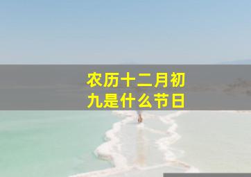 农历十二月初九是什么节日