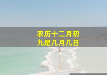 农历十二月初九是几月几日