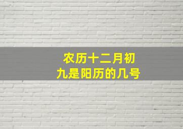 农历十二月初九是阳历的几号