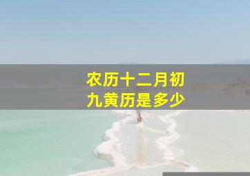 农历十二月初九黄历是多少