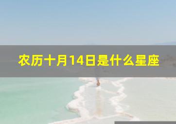 农历十月14日是什么星座