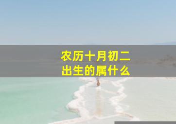 农历十月初二出生的属什么