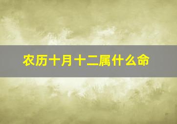 农历十月十二属什么命