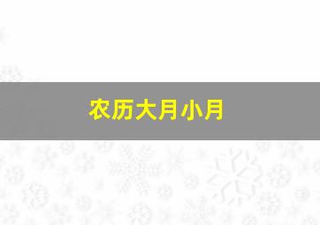 农历大月小月