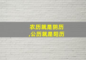 农历就是阴历,公历就是阳历