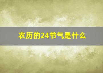 农历的24节气是什么