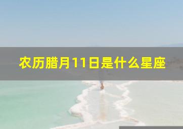 农历腊月11日是什么星座