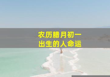 农历腊月初一出生的人命运